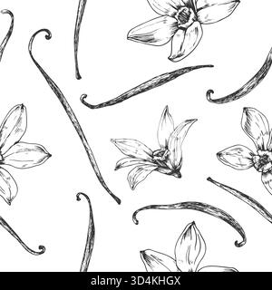 Vanilla hand-drawn vector seamless pattern. Black and white ornament with flowers and pods Stock Vector