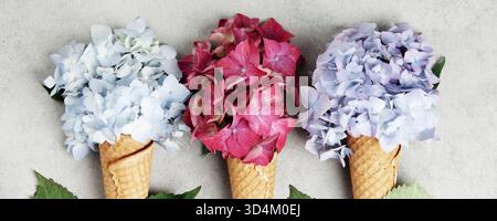 Creative flat lay featuring pink, blue, and white hydrangea blooms in waffle cones, arranged side by side on a neutral backdrop. Stock Photo