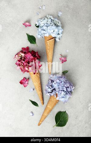 Creative flat lay featuring pink, blue, and white hydrangea blooms in waffle cones, arranged side by side on a neutral backdrop. Stock Photo
