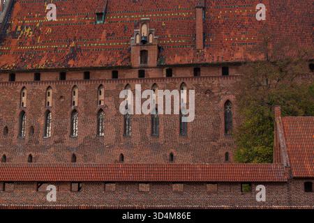 Close view of Malbork Castle in Malbork, Poland shows lancet windows, patterned brick, dormers, and chimneys in warm daylight, with wall and autumn tr Stock Photo