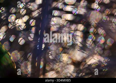 Abstract bokeh lights with colorful iridescent circles and soft blurred lines, artistic dreamy background with shimmering light shapes and rainbow ref Stock Photo
