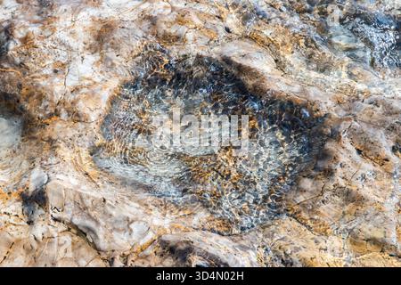 Close-up of rock texture submerged in clear sea water, reflecting sunlight. Beautiful natural summer background Stock Photo