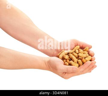 peanuts in hand path isolated on white Stock Photo