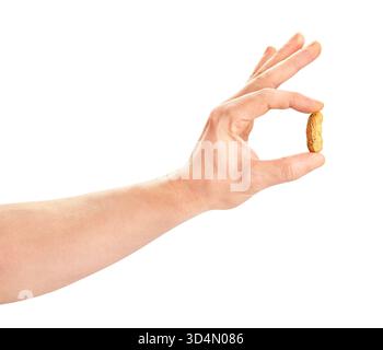 peanuts in hand path isolated on white Stock Photo