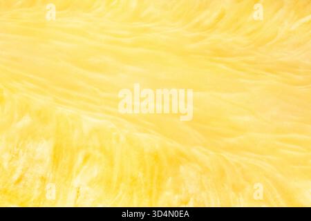 sliced pineapple texture closeup detail Stock Photo
