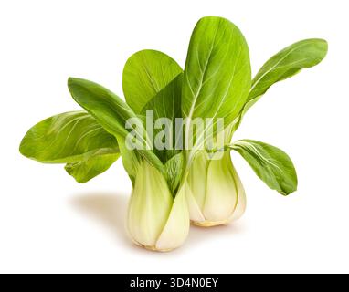 bok choy cabbage path isolated on white Stock Photo