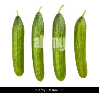 cucumbers path isolated on white Stock Photo