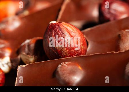 hazelnut chocolate macro closeup detail Stock Photo