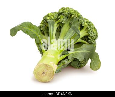 broccoli path isolated on white Stock Photo