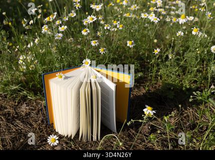 An open book on the ground next to blooming wildflowers, illuminated by the sun Stock Photo