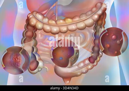 illustration-of-the-main-