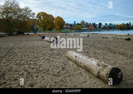Logs on the sand at Kitsilano Beach during autumn, Vancouver, BC. Stock Photo