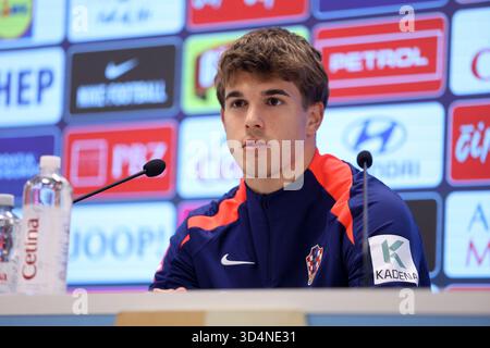 Luka Vuskovic Of Croatia Speaks With A Media During The Croatia luka-vuskovic-of-croatia-speaks-with-a-media-during-the-croatia