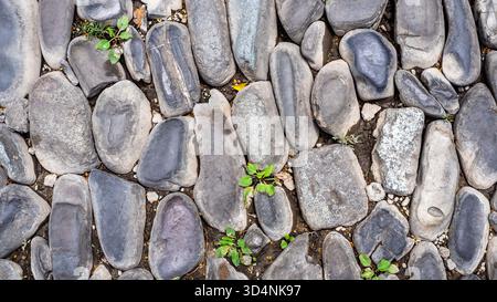 top view of cobblestones road surface in Avlabari old district of Tbilisi city, Georgia Stock Photo