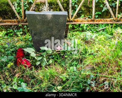 small blank granite tombstone and red roses on old grave in Erge mountain cemetery, Batumi city, Adjara, Georgia on sunny summer day Stock Photo