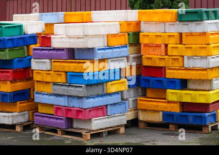 Stacks of colorful plastic fish boxes on wooden pallets in a harbor storage area. Used for seafood transport, fishing industry, and logistics Stock Photo