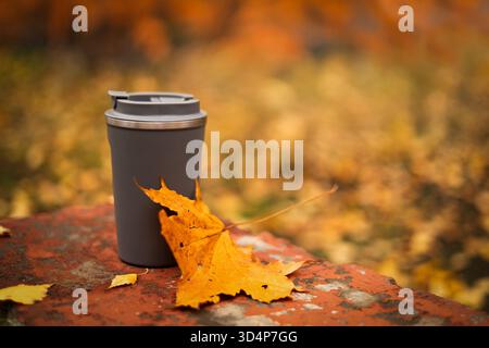 A maple leaf on a bench. A symbol of autumn. Stock Photo