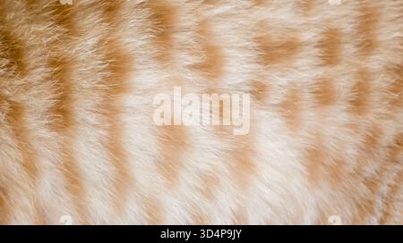 Background of red wool with patterns. Stock Photo