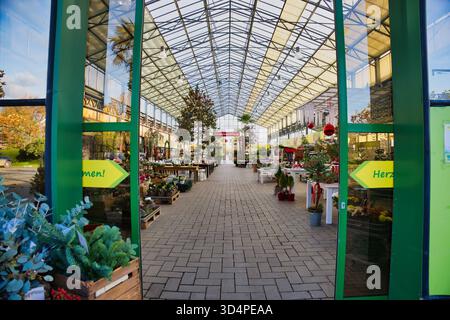 Entrance to large greenhouse garden center with plants and Christmas decorations under glass roof in sunny autumn day Stock Photo