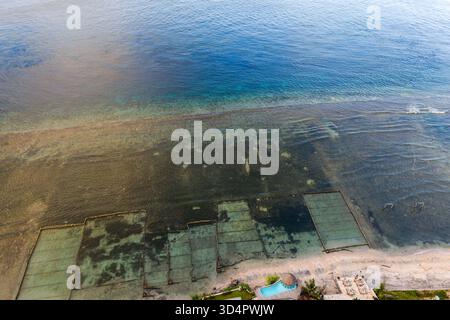 Top-down view showing coastal seaweed cultivation next to deep blue ocean in Indonesia. Stock Photo
