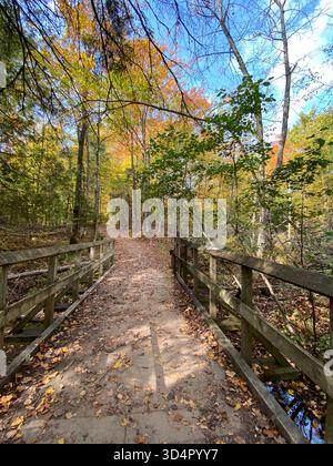 Autumn maple path leading to a small white pavilion at golden hour ...