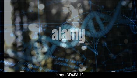 Glowing blue DNA helix spanning across blurred forest backdrop, showing grid, code fragments Stock Photo