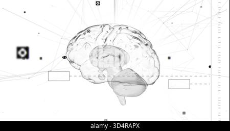 Showing translucent 3D brain rotating on white field, showing network nodes and dashed guideline Stock Photo