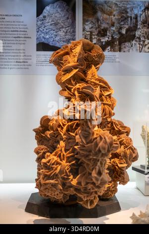 A stunning, intricate vertical close-up of a large Desert Rose crystal formation, a type of gypsum mineral, displayed on a black stand in a museum or Stock Photo