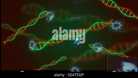 Displaying central DNA helix moving in biotech UI, with holographic globe gear monitor world map Stock Photo