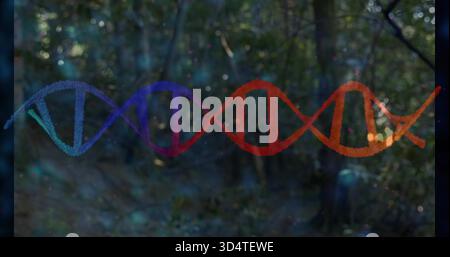 Glowing translucent DNA double-helix ribbon spanning wooded clearing, scattering color speckles Stock Photo