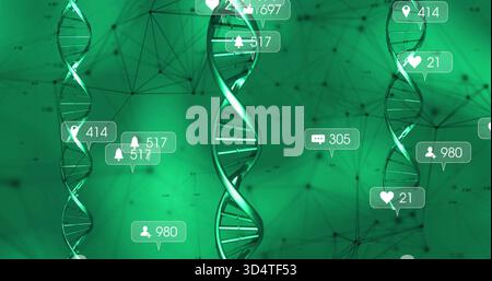 Displaying three DNA helices with central helix glowing in data network, with notification badges Stock Photo