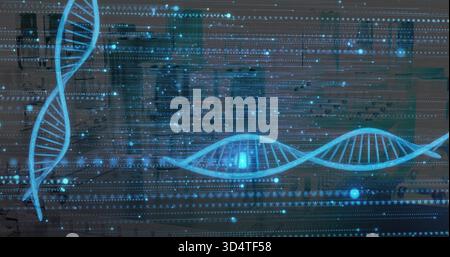 Displaying dual cyan DNA helices across research lab, showing holographic data over benches Stock Photo