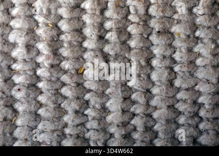 Textured neutral woven fabric in macro view, showing detailed fibers and rows. Ideal for backgrounds, design concepts, or textile industry visuals. Stock Photo
