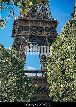 Part of the Eiffel Tower seen through the branches - Travel photo Series Stock Photo