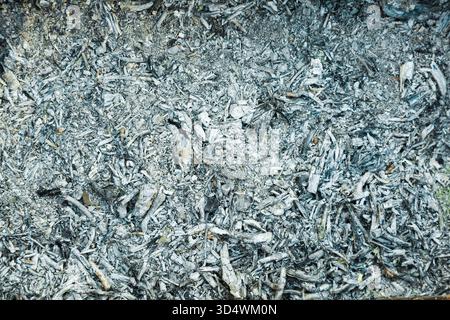 Close-up of smoldering wood and the heat from the coals Stock Photo