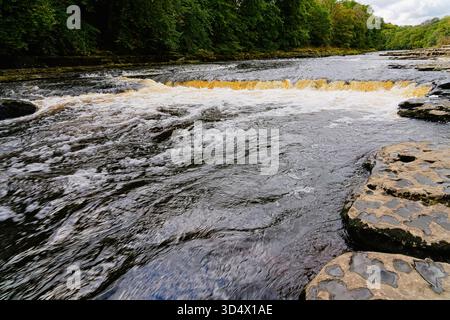 The shallow, fast flowing River Ure tumbles over the limestone steps of Aysgarth Falls. Stock Photo
