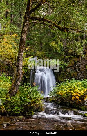 Twin Falls, Twin Falls Creek at Lewis River, campground, Cascade Range, Gifford Pinchot National Forest, near town of Trout Lake, Washington state USA Stock Photo