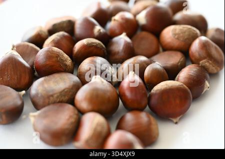 A pile of raw chestnuts displayed on a white surface in soft natural light. Smooth, glossy shells and warm brown hues emphasize the freshness of nuts. Stock Photo