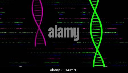 Displaying neon green helix right and magenta helix upper-left on black field, with data lines Stock Photo