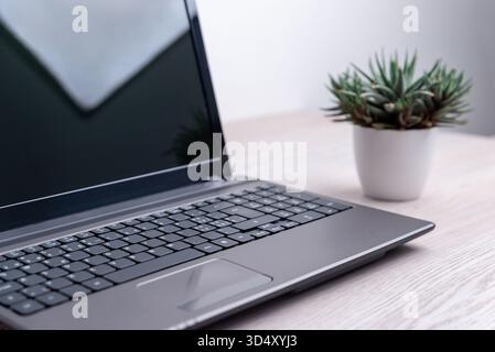Open laptop with black screen and green plant on wooden desk, minimal modern workspace concept for technology, productivity, and creative professional Stock Photo