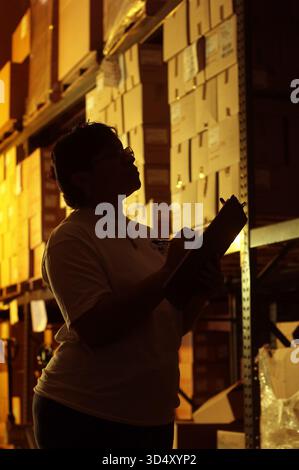 Female worker checking inventory in large warehouse, New Jersey USA Stock Photo