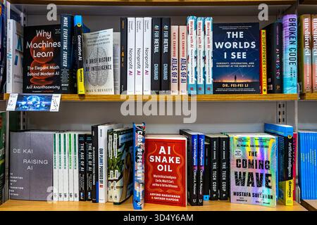 Bookshelf of books about AI artificial intelligence and machine learning, including "Why Machines Learn," "The Worlds I See," and "AI Snake Oil." Stock Photo
