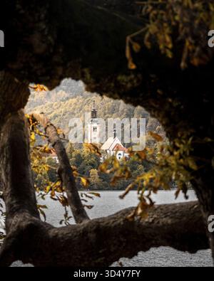 View of the white church steeple rising from the lush island in the lake, Bled, Radovljica, Slovenia. Stock Photo