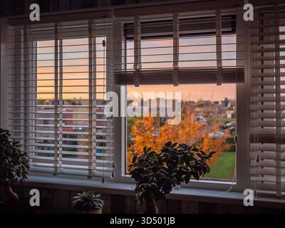 A cozy view from the window through the blinds onto a bright orange-pink sky, the rising sun, autumn trees and two potted plants on the windowsill. Stock Photo