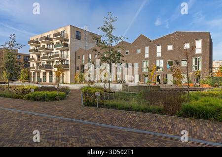 Modern, newly constructed residential buildings in Zutphen, Netherlands, featuring a mix of brick townhouses and a contemporary apartment block with b Stock Photo