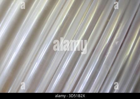 Modern abstract background showing diagonal line pattern. white surface texture has gentle light creating calm, minimalist effect perfect for simple d Stock Photo