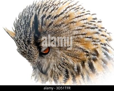 Close up. the sight of this huge Eurasian eagle-owl is a sight to behold. the colour and pattern of its feathers has amazing beauty and delicacy. Stock Photo
