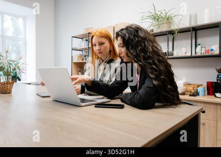 Two women collaborate on a laptop at a bright modern kitchen workspace sharing ideas Stock Photo
