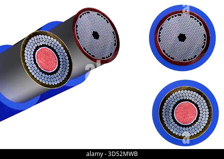 Figure cut cable. Cable conductors inside the cable. Stock Photo