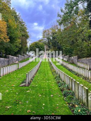 Commonwealth War Graves climb a hill towards the Cross of Sacrifice at Roeux British Cemetery. Surrounded by dense woodland and blue skies in the fall Stock Photo